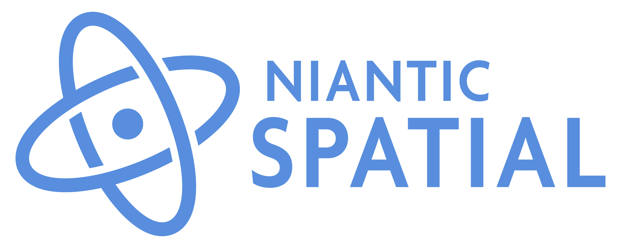 Niantic Spatial Logo